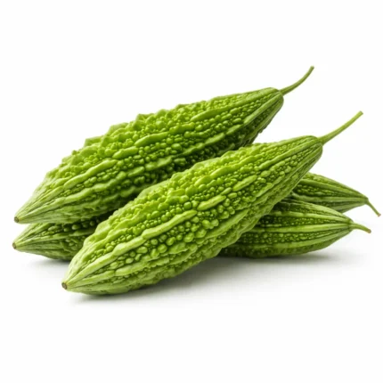 Bitter Gourd fresh green vegetable