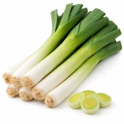 Fresh leeks on white background | كراث طازج بخلفية بيضاء