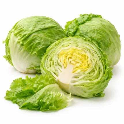Fresh iceberg lettuce on white background | خس آيسبرغ طازج بخلفية بيضاء