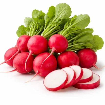 Fresh local red radish on white background | فجل أحمر محلي طازج بخلفية بيضاء