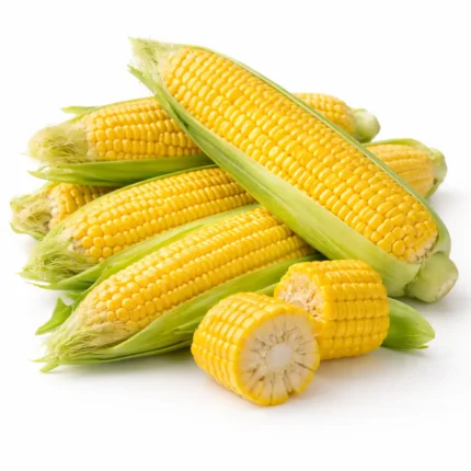 Fresh UAE sweetcorn on white background | ذرة حلوة إماراتية طازجة بخلفية بيضاء