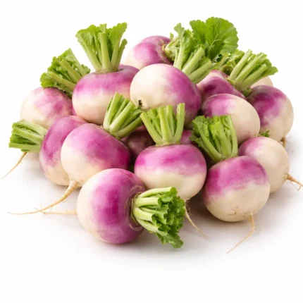 Fresh local turnips on white background | لفت محلي طازج بخلفية بيضاء