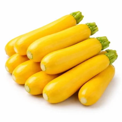 Fresh local yellow zucchini on white background | كوسا صفراء محلية طازجة بخلفية بيضاء