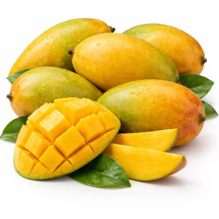 Fresh Yemeni mango on white background | مانجو يمني طازج بخلفية بيضاء