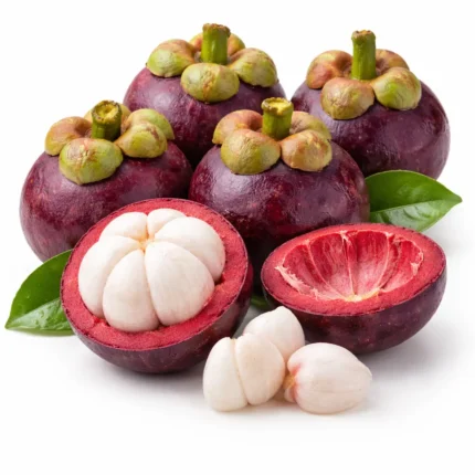 Fresh Indonesian mangosteen on white background | مانغوستين إندونيسي طازج بخلفية بيضاء