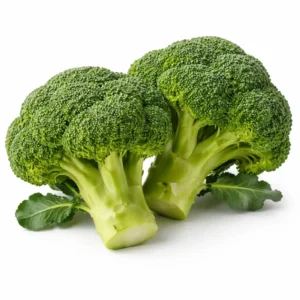 Broccoli fresh green vegetable