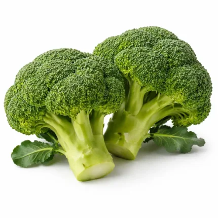 Broccoli fresh green vegetable