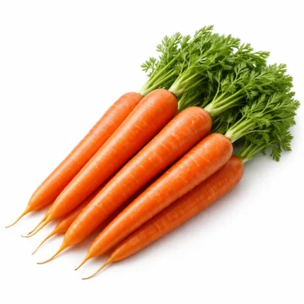 Fresh Carrot Chinese on white background | جزر صيني طازج بخلفية بيضاء