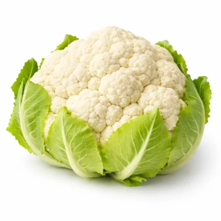 Fresh local cauliflower on white background | قرنبيط محلي طازج بخلفية بيضاء