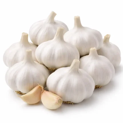 Fresh Chinese garlic on white background | ثوم صيني طازج بخلفية بيضاء