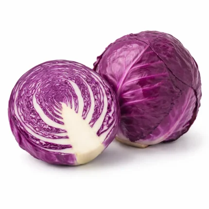 Red cabbage fresh vegetable